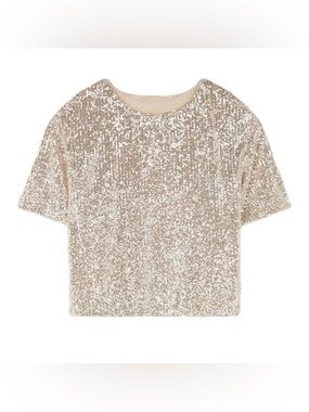 Anthropologie Silver Sequin Crop Top